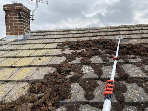 Blink Diensten, voor grondige reiniging van uw dak